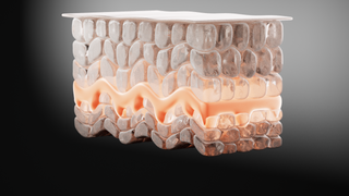 Skin Longevity Starts at the Longevity Layer™