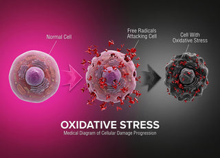 Protecting Your Investment: Oxidative Stress and Pigment Recurrence After Cosmetic Procedures